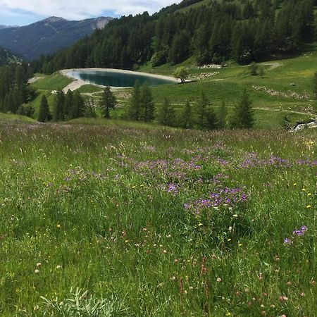 Studio Montagne Allos Εξωτερικό φωτογραφία