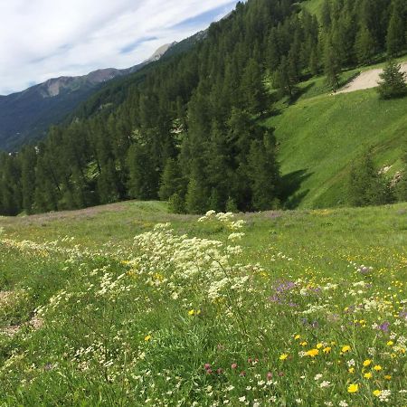 Studio Montagne Allos Εξωτερικό φωτογραφία
