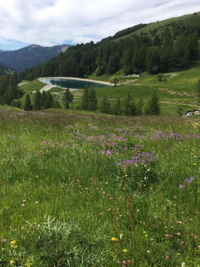 Studio Montagne Allos Εξωτερικό φωτογραφία