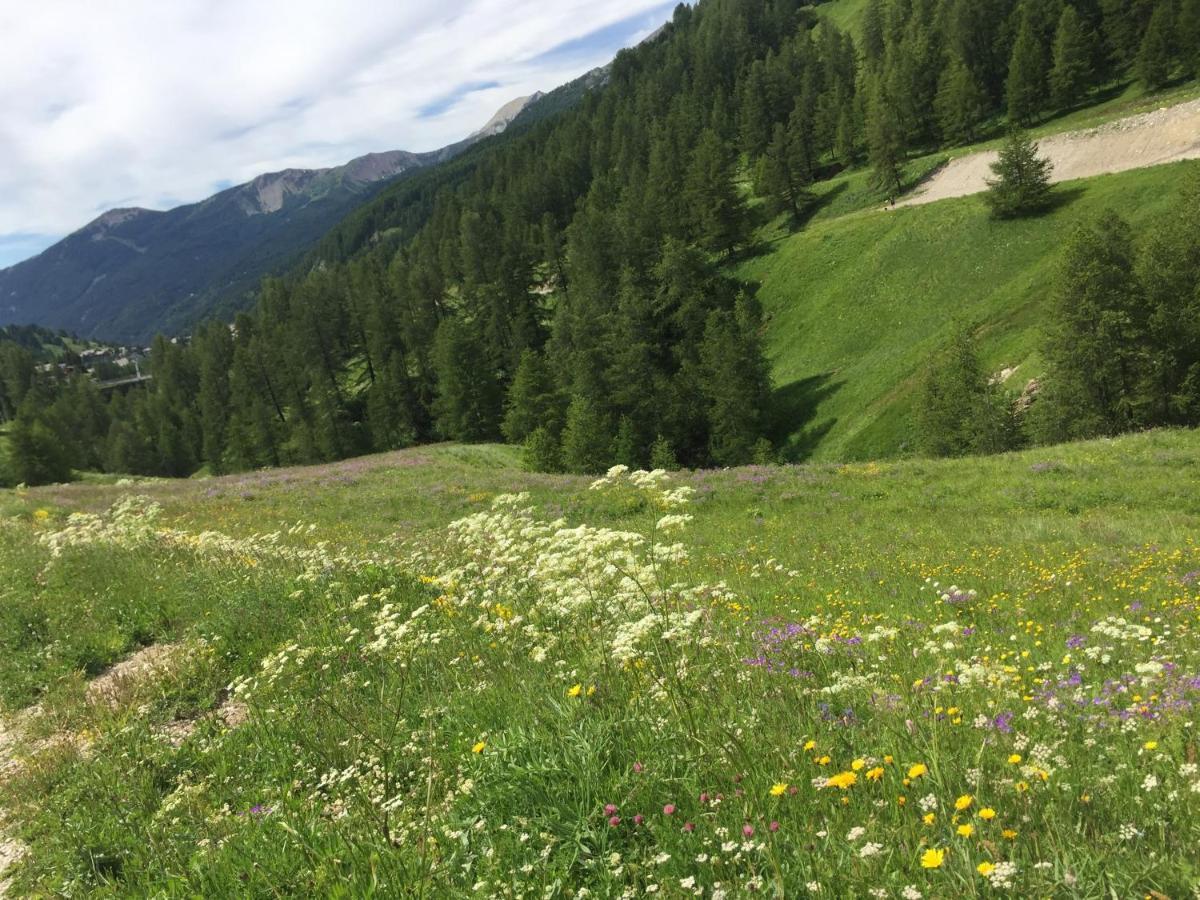 Studio Montagne Allos Εξωτερικό φωτογραφία